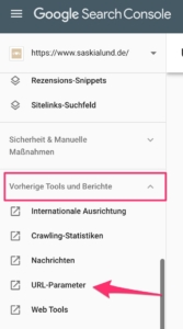 - parámetro-url-de-la-consola-de-búsqueda